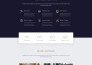 design and development a professional custom shopify website for your business